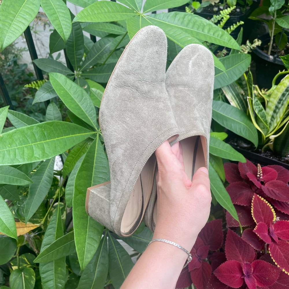 Everlane Women's Green/ Grey Suede Mules 🍃